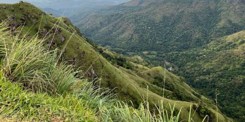 ella-tea-factory-train-and-nine-arch-day-tour-with-pickup