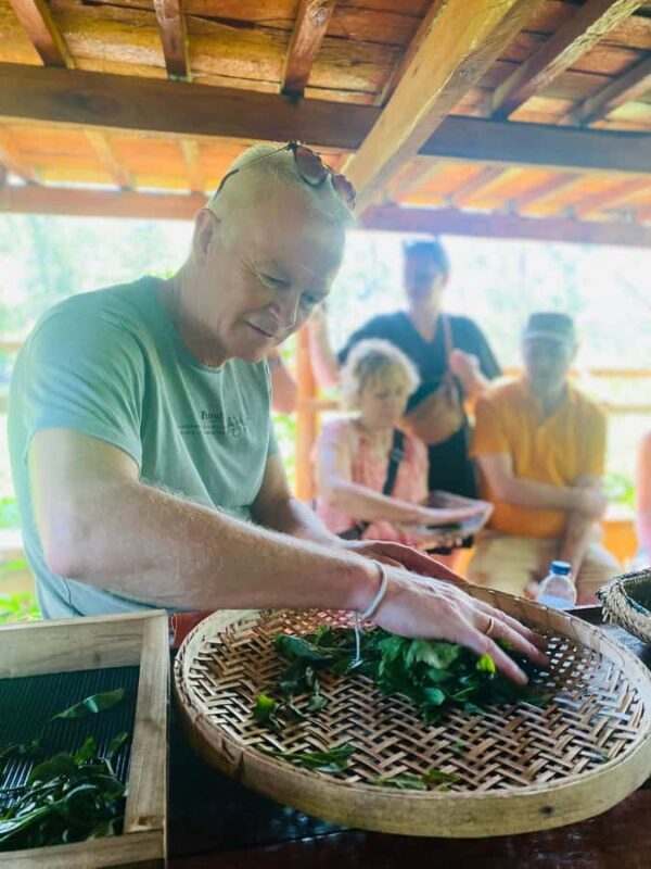 Ella: Tea-Making Experience Tour with Tasting & Snacks - Who Will Love This Tour?