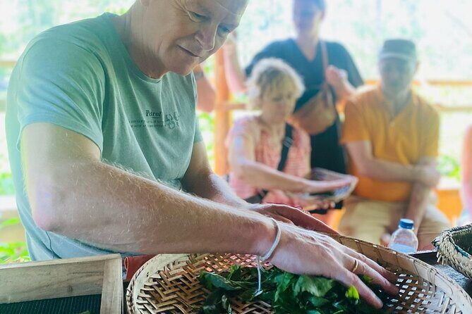 Ella Tea Making Experience Tour With Tasting & Snacks - Key Points