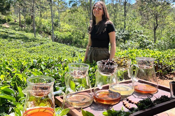 Ella Tea Making Experience Tour With Tasting & Snacks - Authentic Insights from Travelers