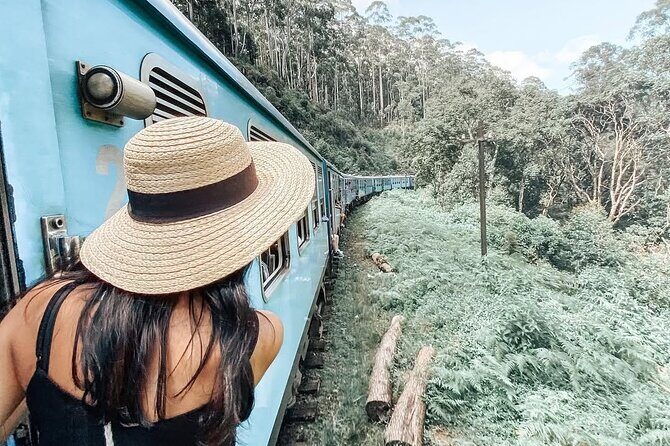 Ella to Ambewela Scenic Train Journey with Reserved Seats Ticket - The Itinerary: What to Expect on the Journey