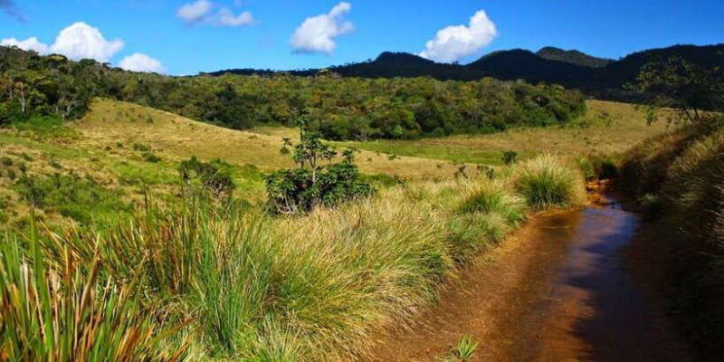ella-to-horton-plains-with-bakers-falls-train-delights