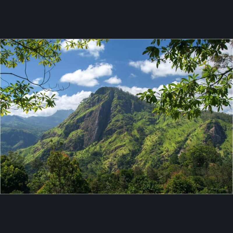 Ella Tour in a Safari Jeep: Nine Arches, Peaks & Waterfalls - FAQ