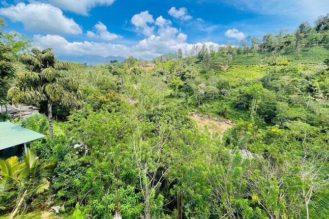 Ella Traditional Sri Lankan Cookery Class - FAQs