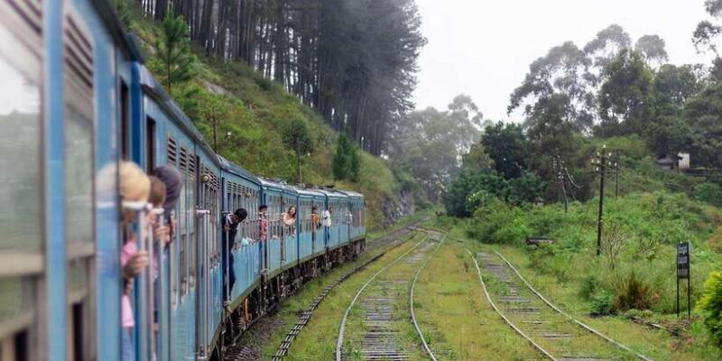 ella-train-experience-with-dip-dine-at-ravana-pool-club