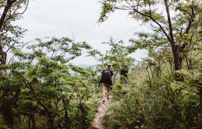 Ella: Tuk Tuk Tour to Diyaluma and Secret Waterfalls - Value for Money