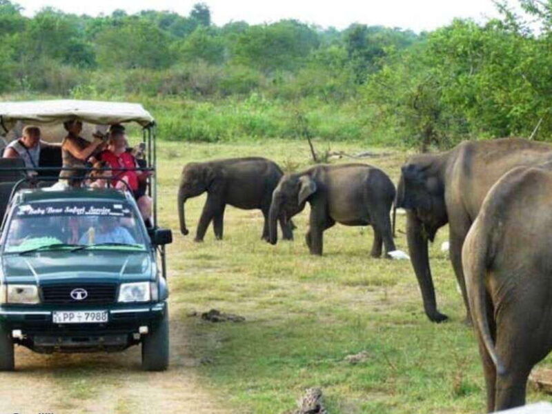 ella-udawalawe-yala-national-parks-2-day-tour-transfers