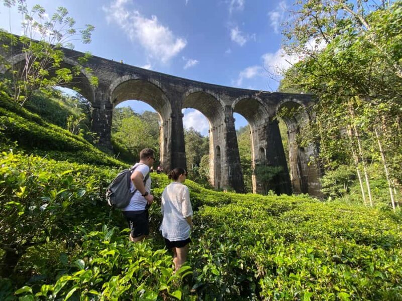 Ella: Ultimate Experience with Cooking Class & Hike - The Itinerary: What to Expect on Your Day in Ella