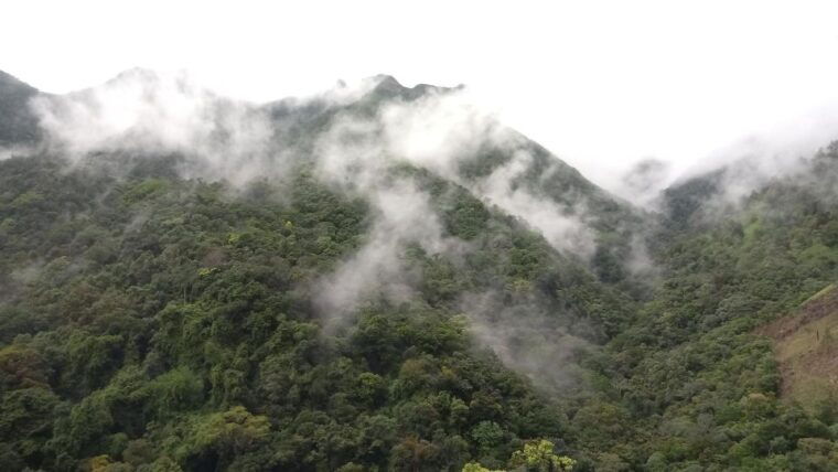 ellabambarakanda-falls-lanka-falls-natural-pool-bath
