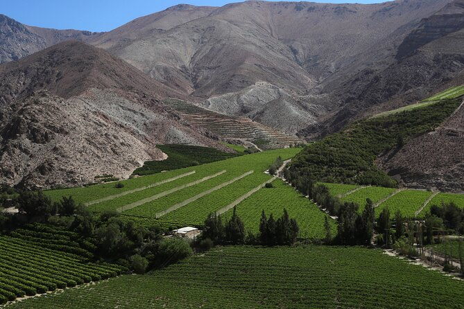 elqui-valley-cruise-excursion-in-coquimbo