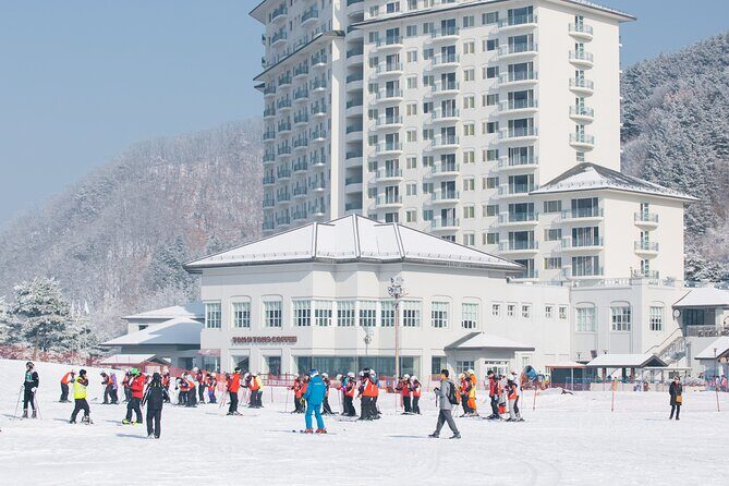 Elysian Gangchon Winter Ski with Nami Island Day Tour from Seoul - Authentic Experiences and Traveler Insights