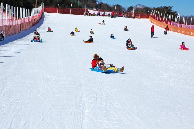 Elysian Gangchon Winter Ski with Nami Island Day Tour from Seoul - The Sum Up: Who Will Love This Tour?