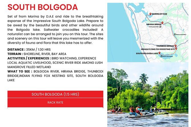 Embark on an Adrenaline-Fueled Safari Experience - The Experience in Detail