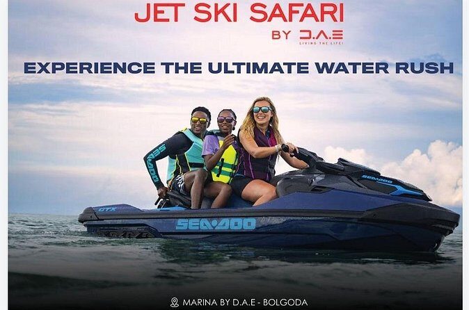 Embark on an Adrenaline-Fueled Safari Experience - The Sum Up