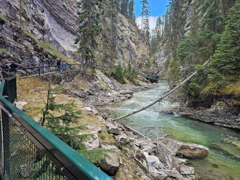 emerald-lake-lake-louise-johnston-canyon-banff-tour-suv