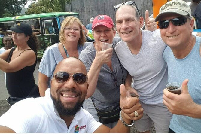 emerald-pool-trafalgar-falls-mega-fun-tour