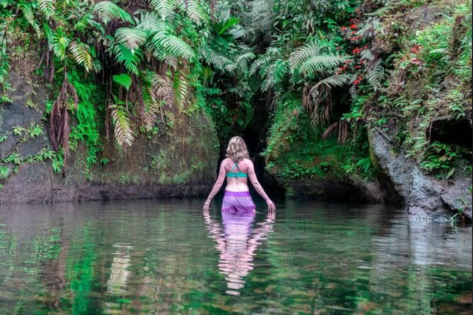 emerald-pool-trafalgar-falls-mega-fun-tour