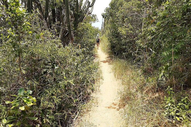 emergency-trail-and-jose-goncalves-magnificent-views-in-buzios