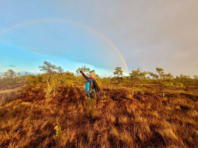 emeri Bogs Adventure: Explore Wetlands In Bog Shoes - Who Would Love This Experience?
