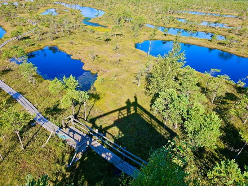 emeri Great Bog With Optional Sunrise & Jrmala Visit - Key Points