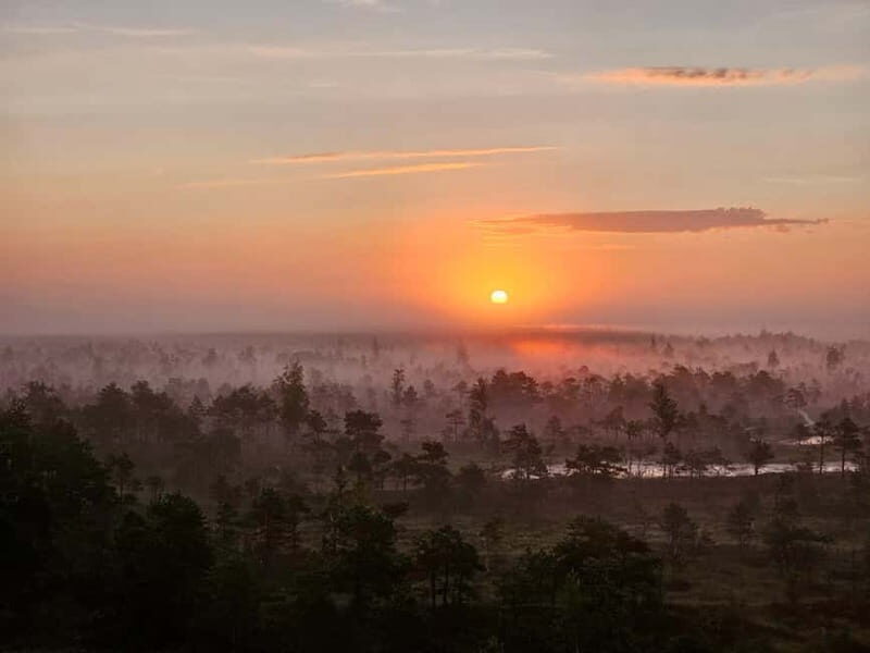 emeri Great Bog With Optional Sunrise & Jrmala Visit - The Sum Up: Who Will Love This Tour?