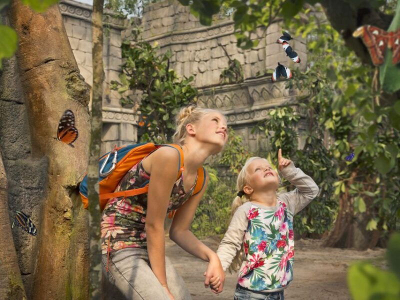 emmen-wildlands-adventure-zoo-and-rimbula-river-boat-ride