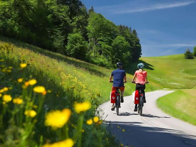 Emmentaler Journey from Zurich:Tour & Cheese Making Workshop - Frequently Asked Questions