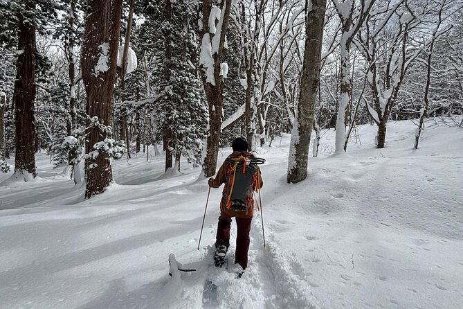 en-cn-guided-snowshoeing-and-snow-monkey-tour-in-nagano
