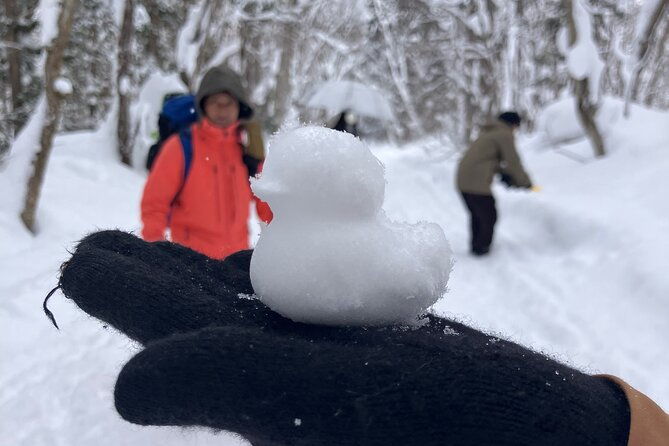 en-cn-guided-snowshoeing-and-snow-monkey-tour-in-nagano