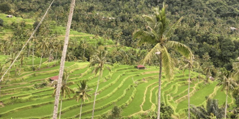 enchanting-bali-adv-sekumpul-and-fiji-waterfall-expedition