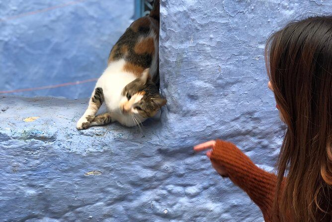 Enchanting Chefchaouen: Discover the Magical Blue City on Budget - What You Can Expect from This Tour