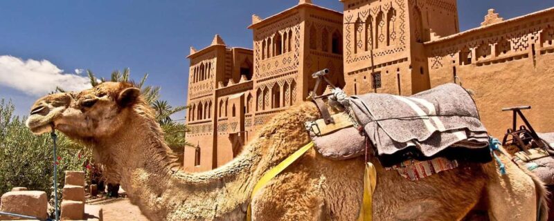 Enchanting Desert Journey 3 Days from Marrakech to Fez - An Overview of the 3-Day Marrakech to Fez Desert Tour