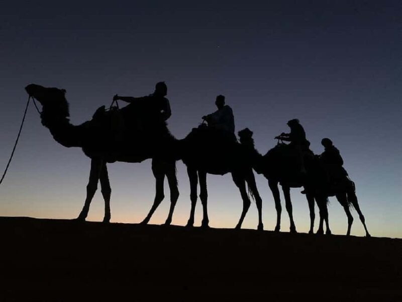 Enchanting Desert Journey 3 Days from Marrakech to Fez - Whats Included and Whats Not