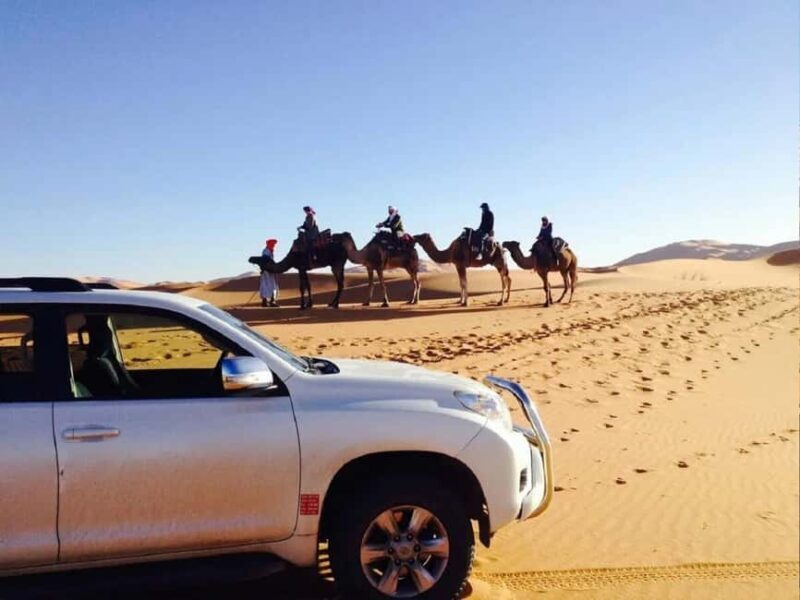 Enchanting Desert Journey 3 Days from Marrakech to Fez - The Sum Up