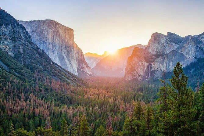 enchanting-small-group-yosemite-national-park-tour-from-cupertino