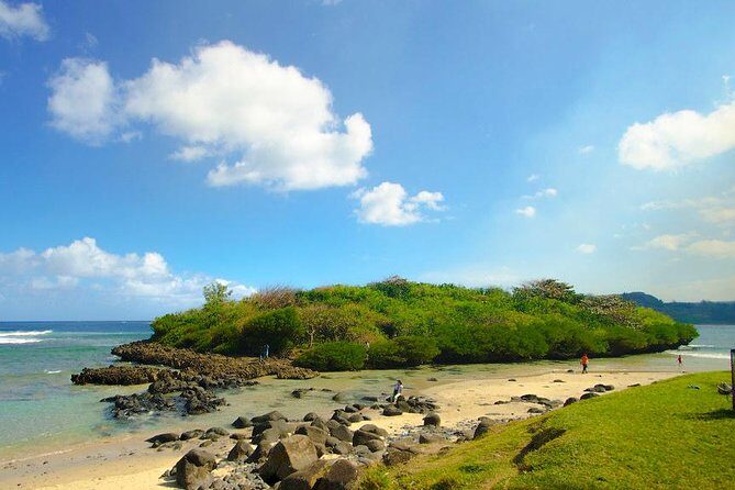 Enchanting South of Mauritius: Full-day tour Incl CASELA Park, Lunch & Transfer - An In-Depth Look at the Tour Experience