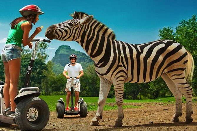 Enchanting South of Mauritius: Full-day tour Incl CASELA Park, Lunch & Transfer - The Sum Up