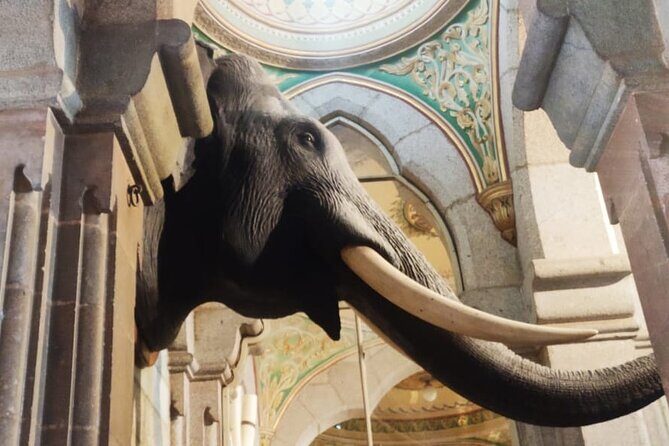 Enchanting Train Journey to Mysore & back; Visits by Walk/TukTuk - The Return Journey: From Mysore to Bangalore