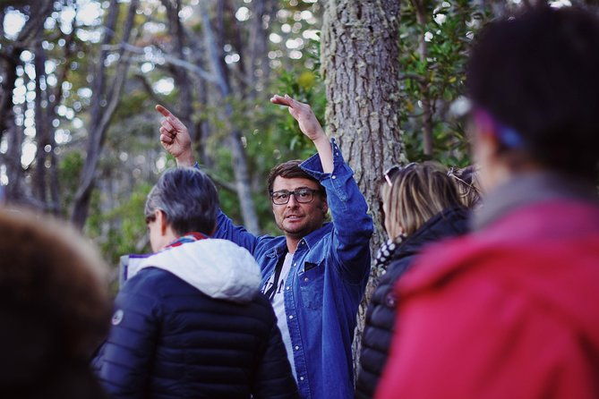 end-of-the-world-private-shore-excursion-tierra-del-fuego-national-park-half-day