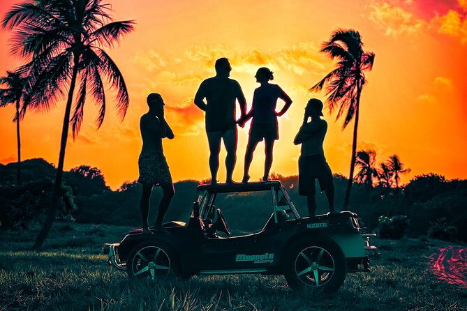 end-to-end-buggy