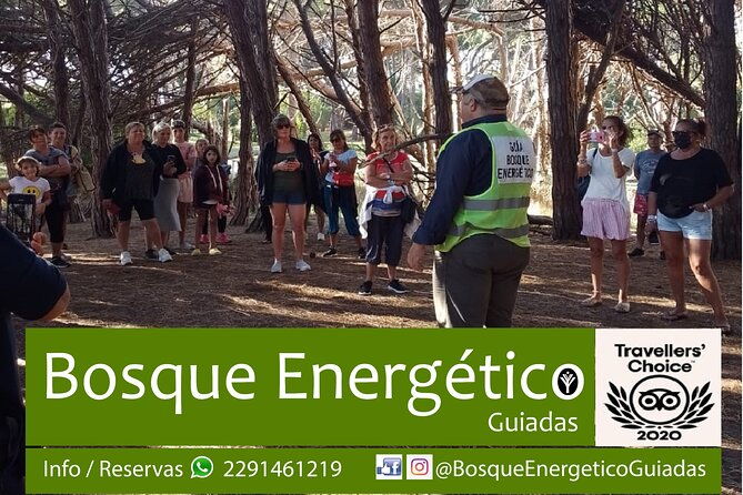 energetic-forest-guided-tour