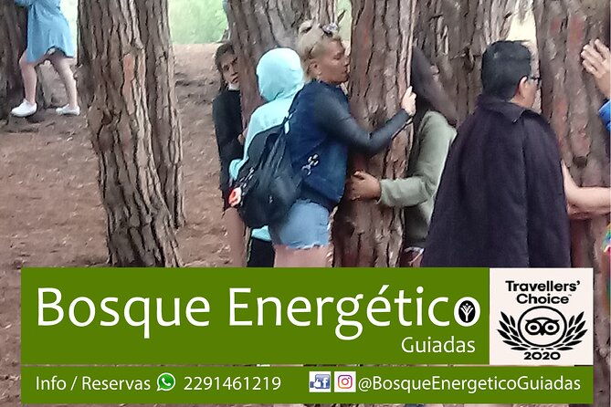energetic-forest-guided-tour