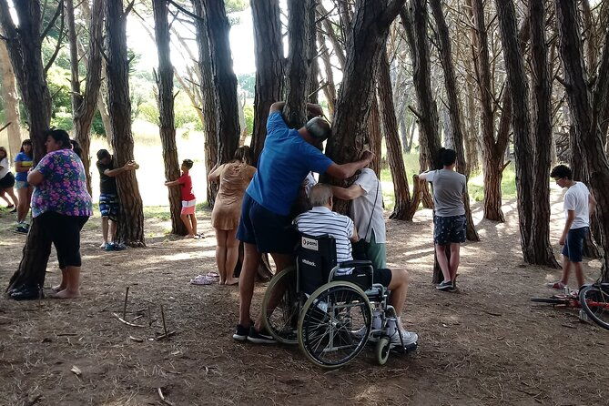 energy-forest-experience