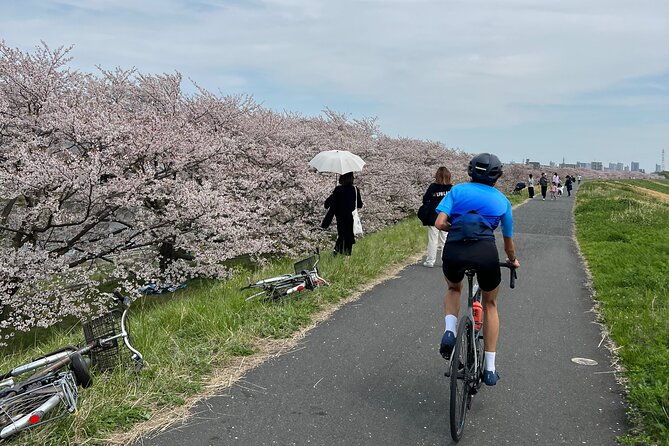 english-italian-guided-cycling-tour-in-tokyowith-a-rental-bike