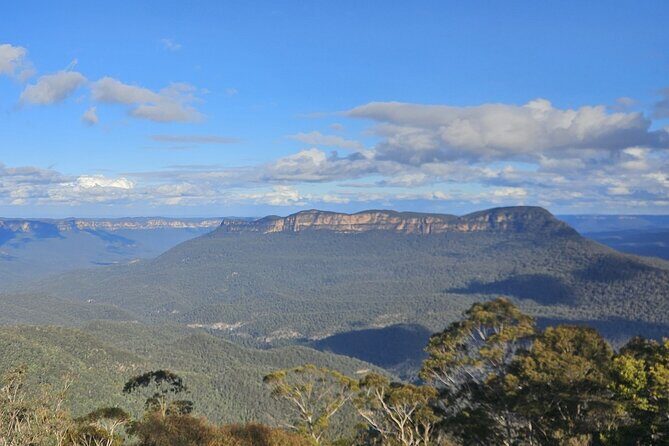 English or German Luxury Private Blue Mountains Tour from Sydney - What to Expect in Terms of Comfort and Value