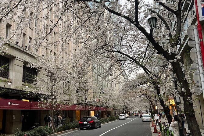 english-speaking-guided-day-tour-of-tokyo-with-a-private-vehicle