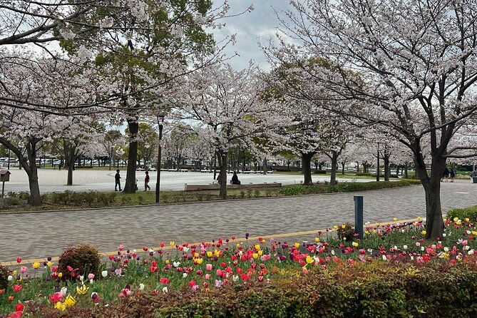 english-speaking-guided-day-tour-of-tokyo-with-a-private-vehicle
