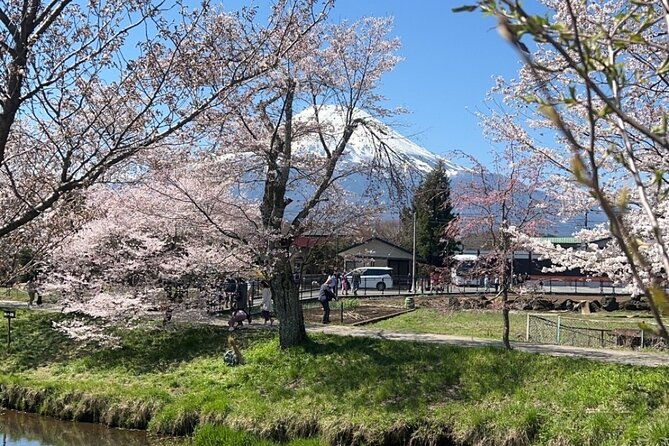 english-speaking-guided-tourmount-fuji-hakone-private-vehicle