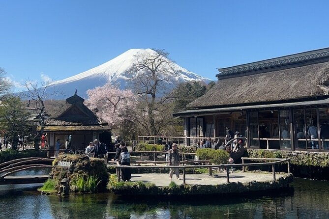 english-speaking-guided-tourmount-fuji-hakone-private-vehicle