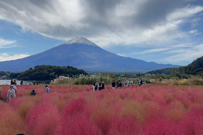 english-speaking-guided-tourmount-fuji-hakone-private-vehicle